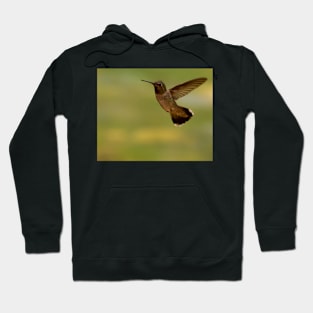 Hummingbird Hoodie